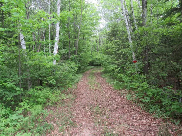 Plantation Ln, Crandon, WI 54520