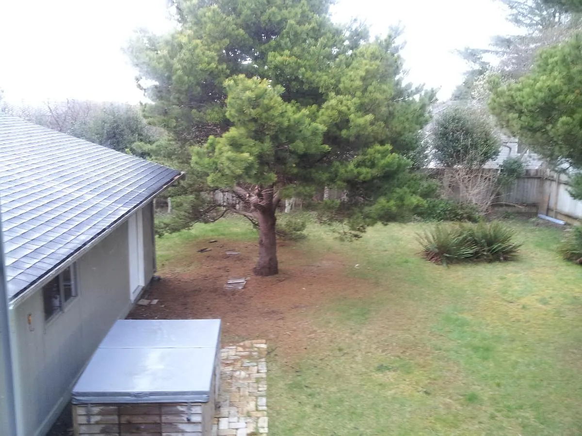 2 bed, 1080 sqft, $1,675 — Photo 4