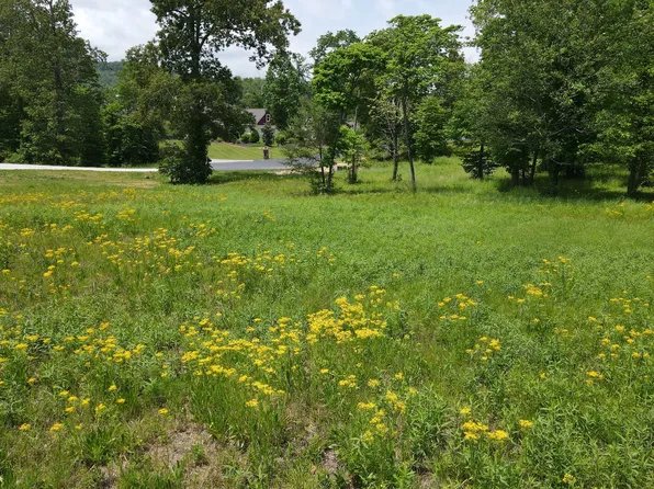 42 Broad Water Ct, Blairsville, GA 30512