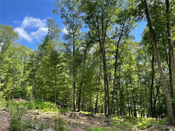 Naomi Dr / State Route 97, Cochecton, NY 12726