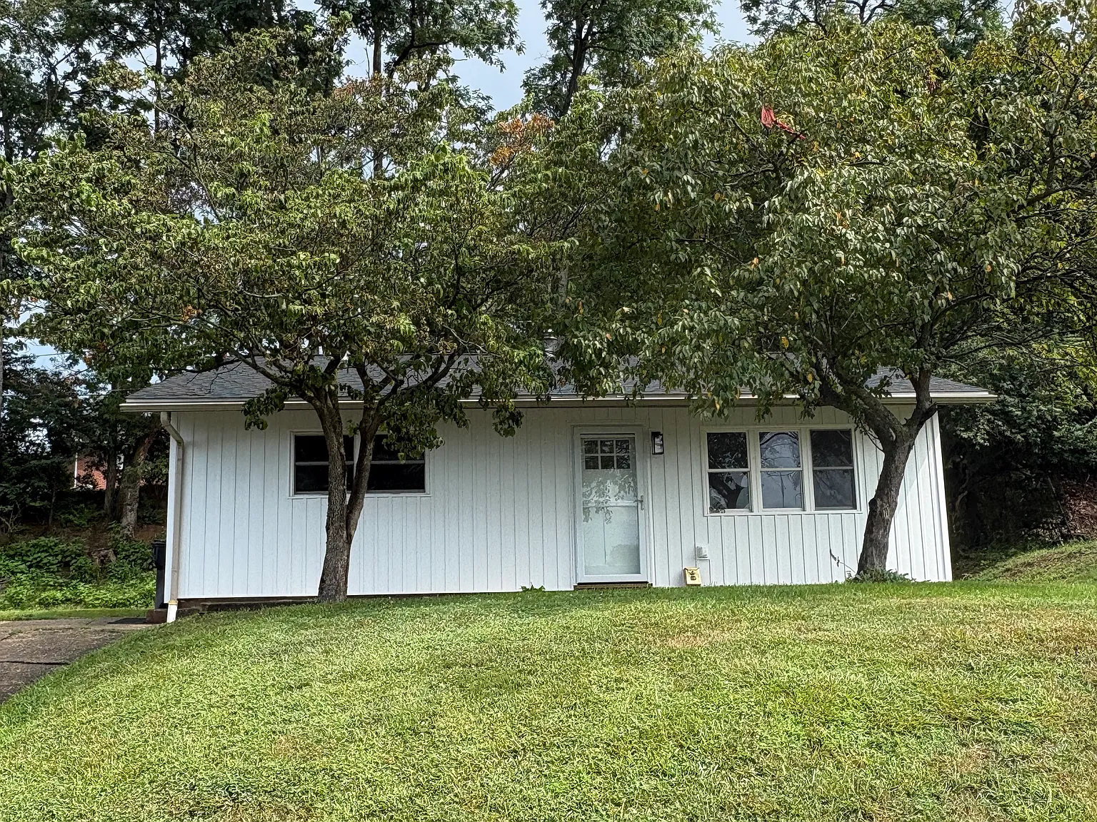 3 bed, 896 sqft, $1,450 — Photo 1