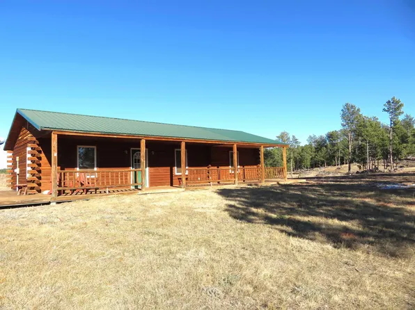 11242 S Branch Fork Rd, Custer, SD 57730