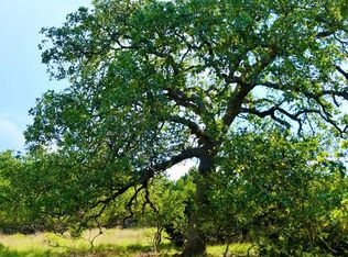 228 Spring Rd, Fredericksburg, TX 78624