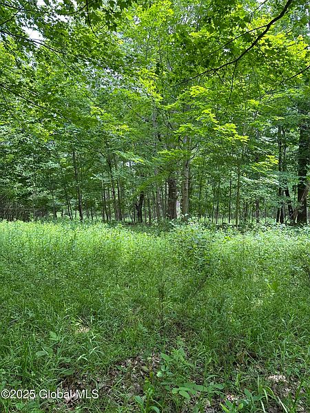 4th image of L11 C Buel Road