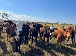 48843 Bermont Rd, Punta Gorda, FL 33982