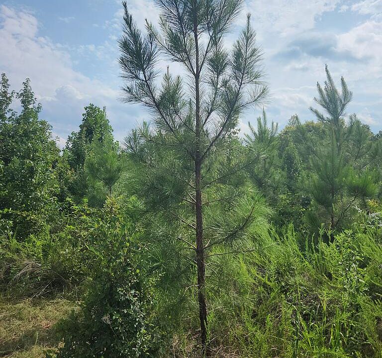 1st image of 1 Mount Tabor Rd