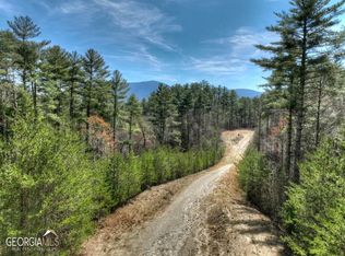 1200 Cherry Log St, Cherry Log, GA 30522