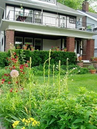 Seasonal Flowers Always in Bloom