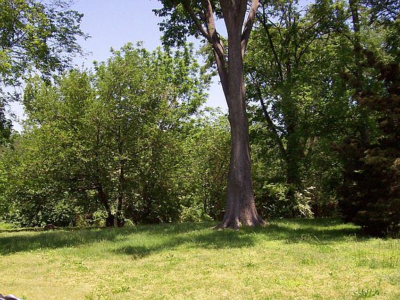 5th image of 145 Dellway Dr