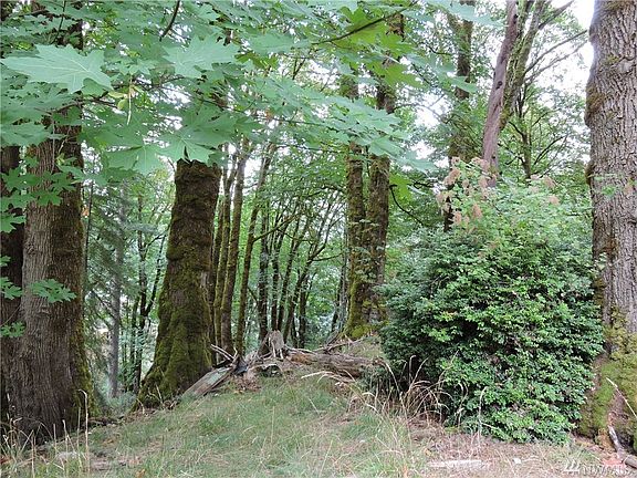 5th image of 307 E Madrona Blvd NW
