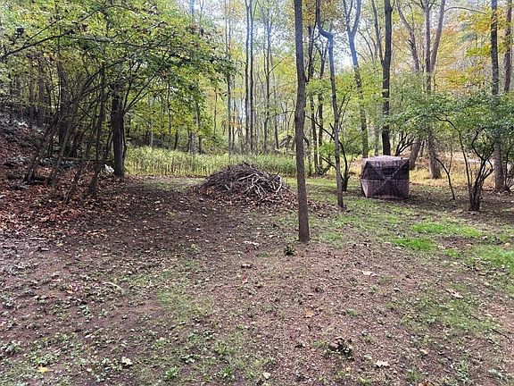 3rd image of Collins Cove Rd