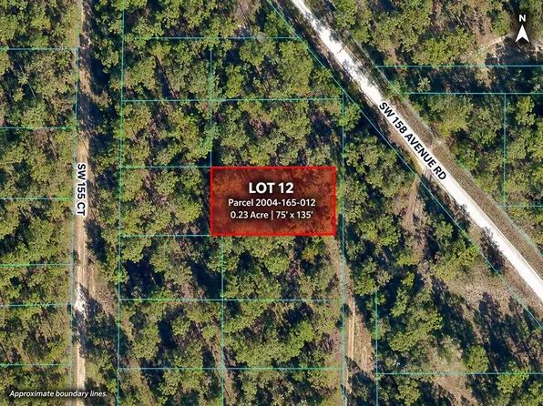 TBD SW 155TH AVE LOT 12, OCALA, FL 34482