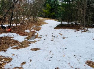 101 Collins Rd, Parsonsfield, ME 04047