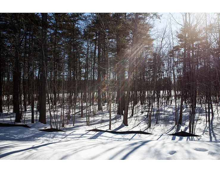 5 Anglers Rd — Photo 17