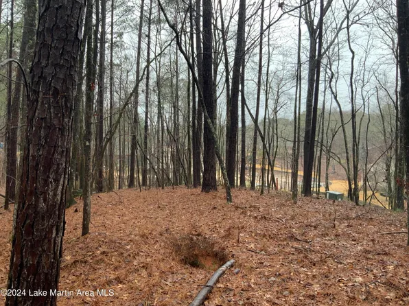 43 Willow Way N, Alexander City, AL 35010