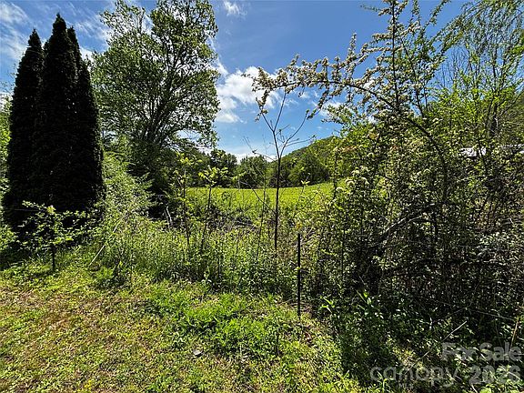 4th image of 1659 Mountain Creek Rd