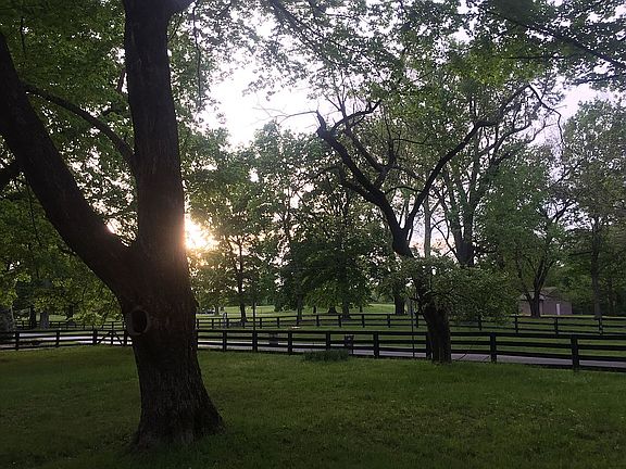 Front deck view of park