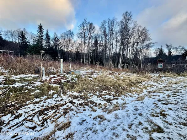4730 Craftsman Rd, Homer, AK 99603
