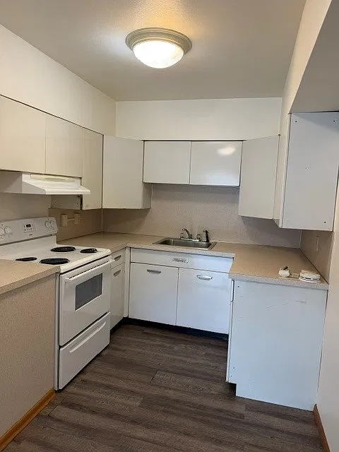 1 bed, 650 sqft, $1,250 — Photo 4