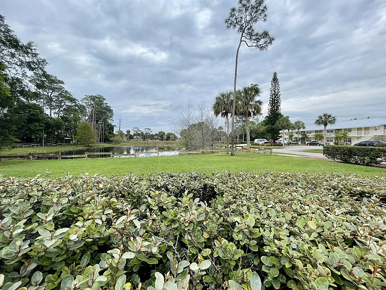 View of pond from apartment bldg