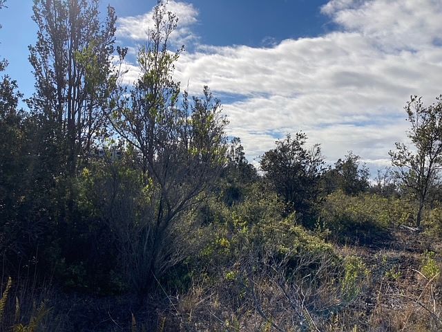 1st image of 92-2120 Kona Dr Lot 3