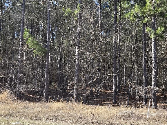 5th image of 1034 Robinson Town Rd