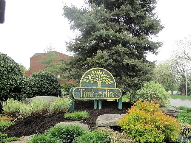 24 Tulip Ct photo 1
