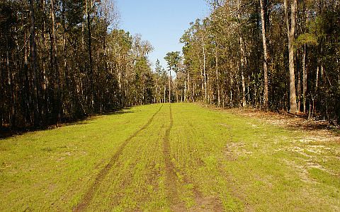 5th image of River Bluff Dr