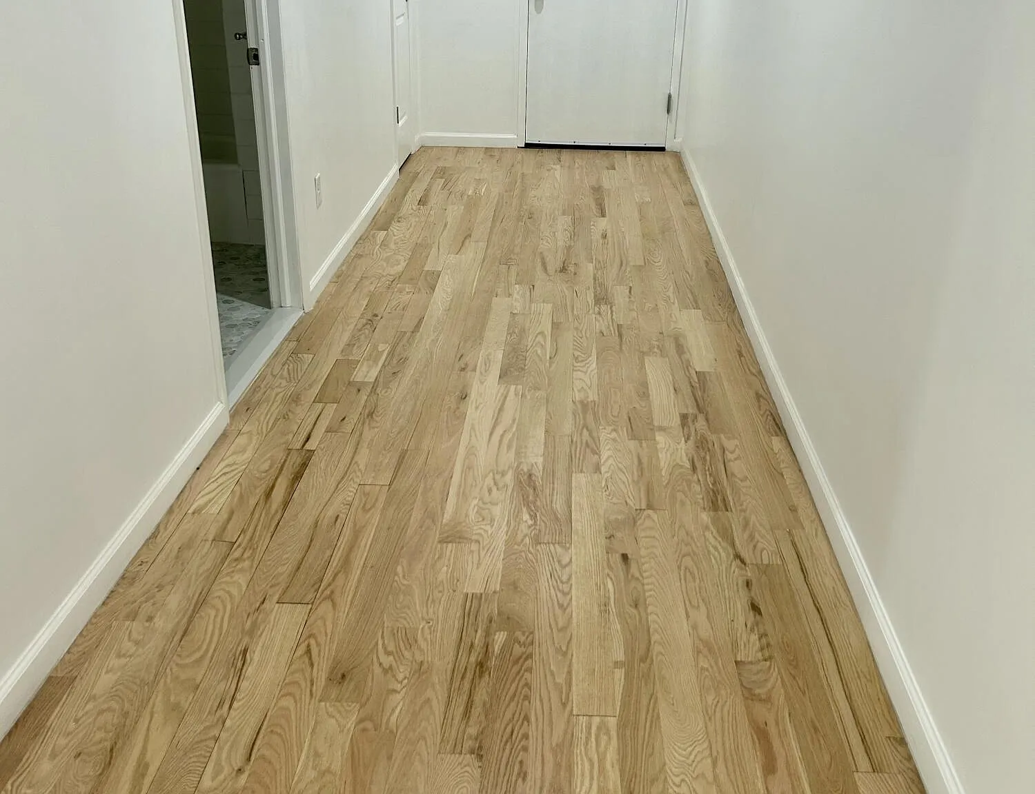1 bed, 1100 sqft, $1,750 — Photo 2