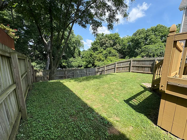 Fenced-in backyard