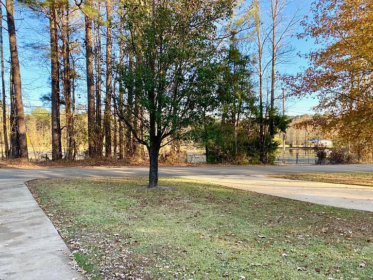 301 County Road 1001 — Photo 28