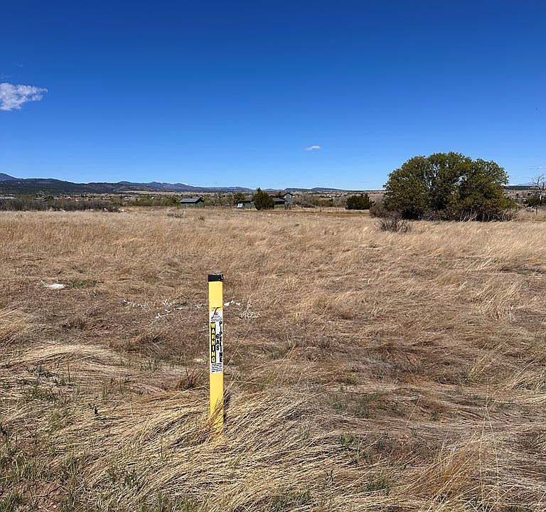 1st image of LOT 188 Ouray St