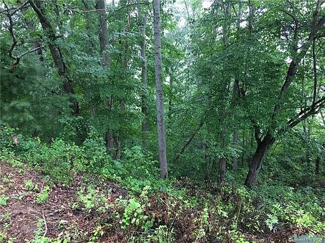 2nd image of 57 Timberwood Dr