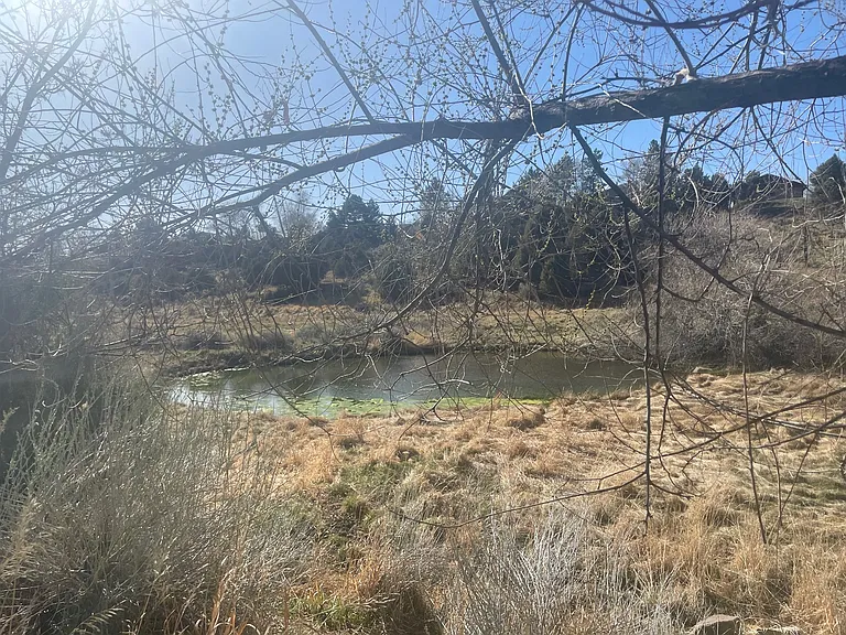 247 Jenkins Ranch Rd — Photo 9