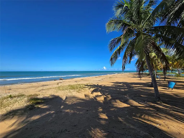 351 Las Picaus Playas Del Yunque 19 #RIO — Photo 6