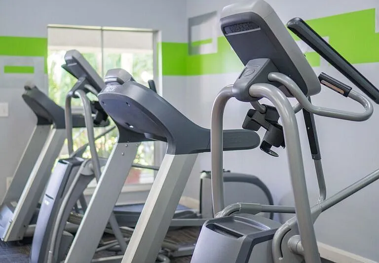Cardio Machines in the gym