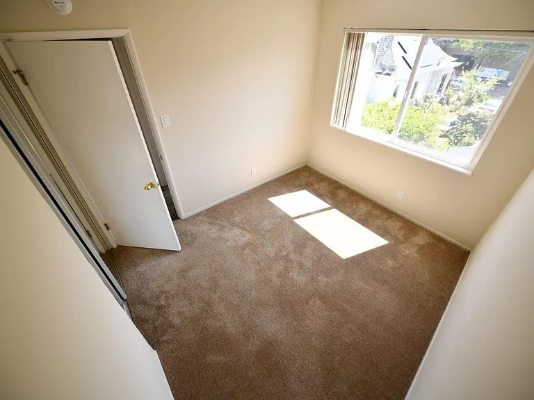 262 Vernon St — Photo 29