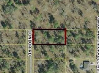 14426 Condor Rd, Weeki Wachee, FL 34614