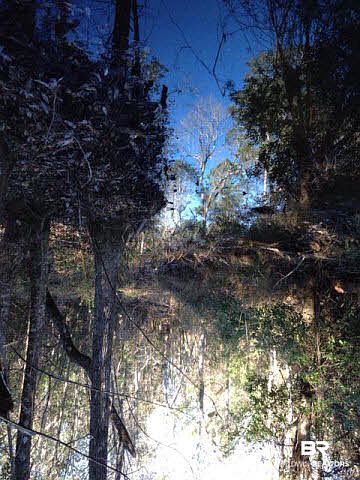 2nd image of 0 Lucy Ln