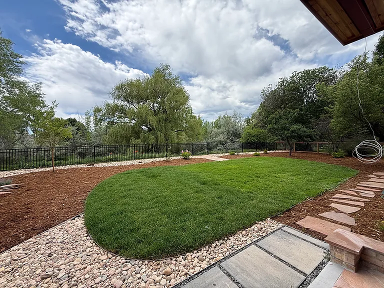 Back yard