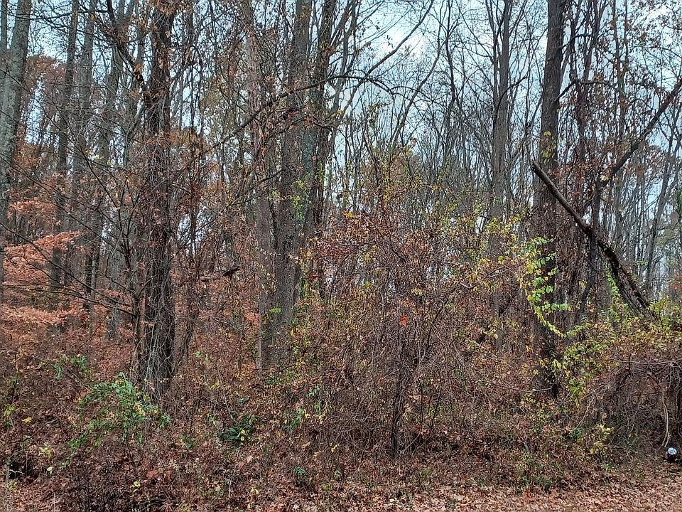 2nd image of Par 113 Spring Rd