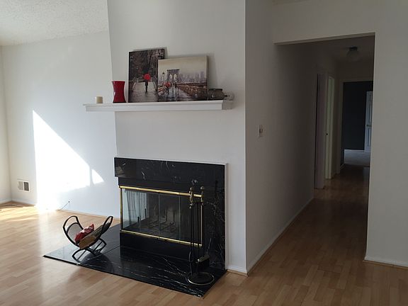 Wood burning fireplace