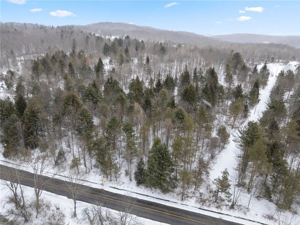 LOT 7B Blackman Hill Rd #13, Berkshire, NY 13736
