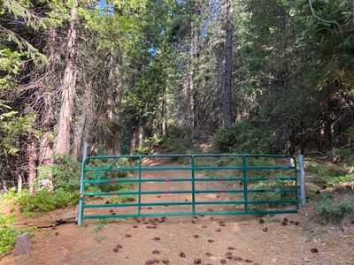 13264 Diamond Creek Rd, Nevada City, CA, 95959