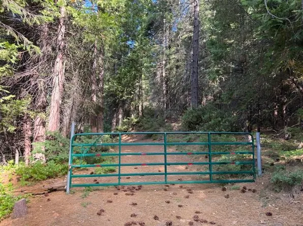 13264 Diamond Creek Rd, Nevada City, CA 95959