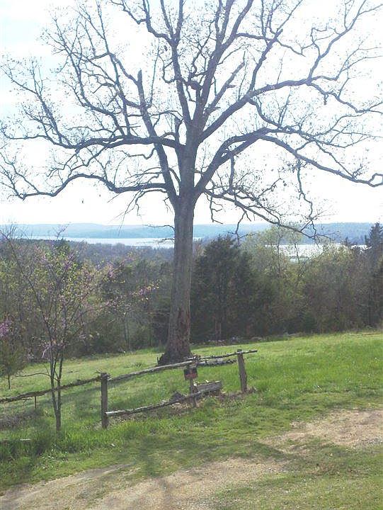 2nd image of 115 Trails End Ln