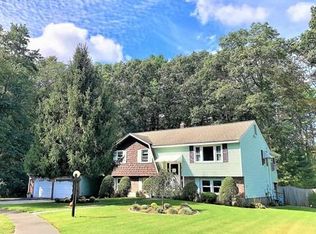 11 Scaltrito Dr, Wilmington, MA 01887