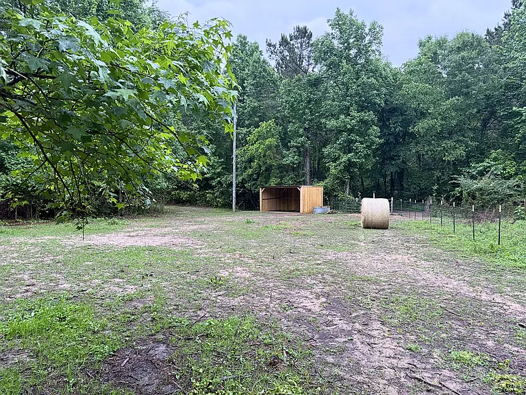 2850 County Road 233D — Photo 33