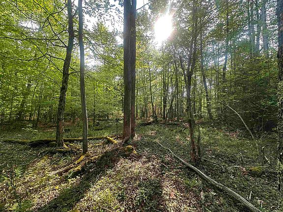 3rd image of 4 Tuscan Ridge Rd