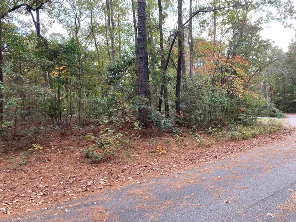 TBD 2 Pine Needle Circle, Johnsonville, SC 29555